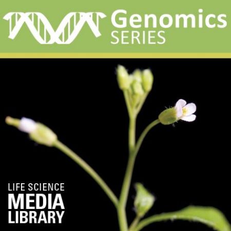 Picture for category Genomics